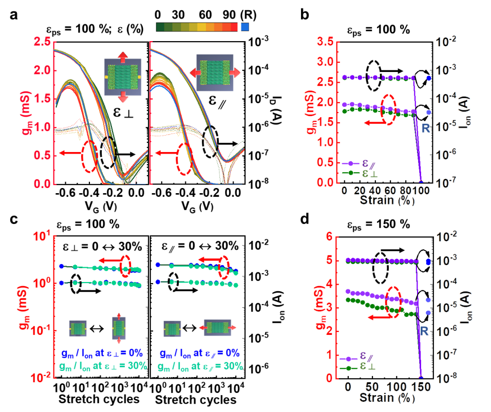 Stretchable Organic Organic Chemical Transistors Affected By Effective