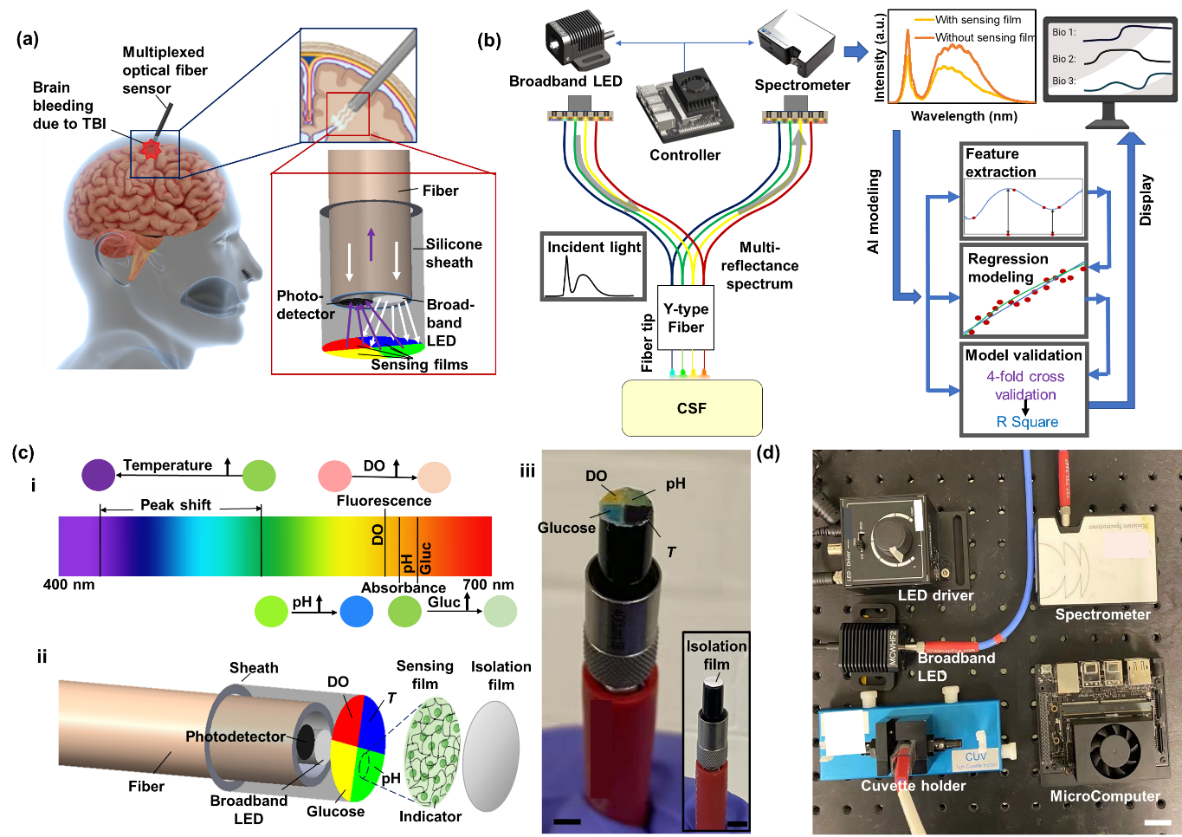 The New Fiber Optic Sensing Platform Enables Continuous Real Time