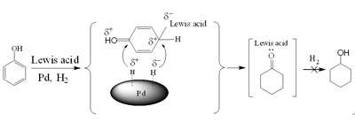 图1 苯酚加氢的一般反应途径