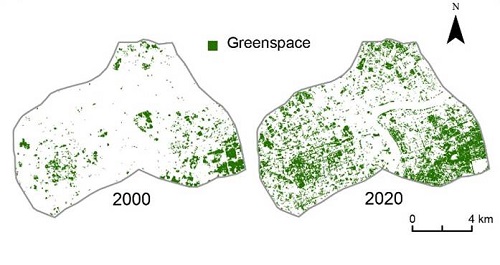 2000和2020年上海内环内绿色空间分布.jpg