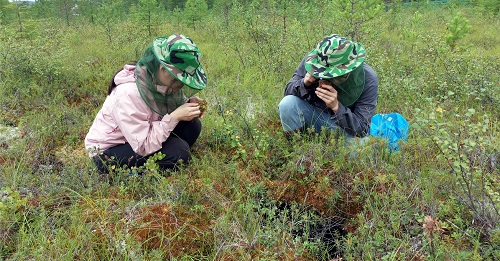 论文第一作者、博士研究生马晓英(左)和博士研究生黄文专在大兴安岭泥炭地参与野外工作.jpg