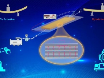 南科大在混合驱动变刚度领域取得新进展