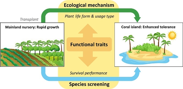 热带珊瑚岛植物适应机制揭示