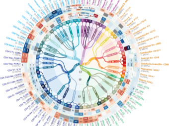 更全更精细，首个千万级免疫细胞图谱发布