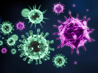 一屋子流感病人为何却没人生病