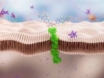 2025年度国内十大医学科技热点