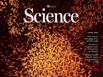 《科学》（20260409出版）一周论文导读