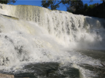 逆流而上，小鱼勇攀瀑布
