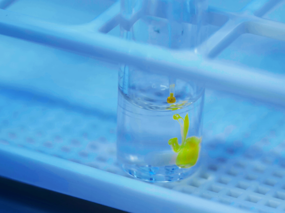 38亿年的答案，用来解一道新题