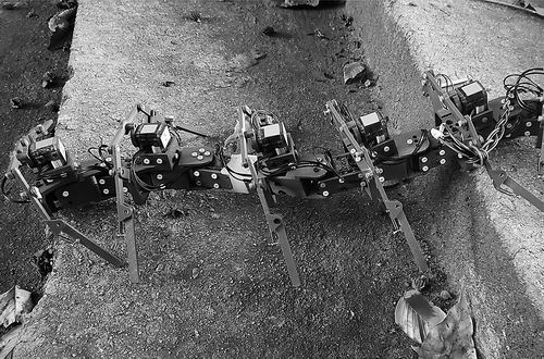 蜈蚣机器人来了